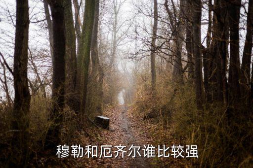  穆勒和厄齊爾誰比較強