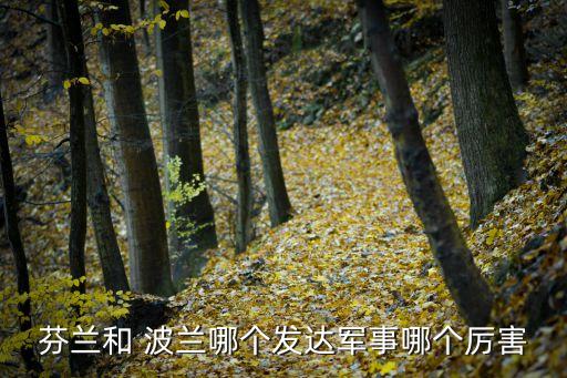丹麥與波蘭哪個好,不好說但單挑，波蘭還是會贏