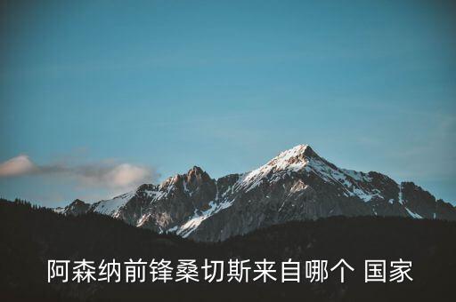 阿森納哪個國家,前鋒桑切斯來自智利巴塞羅那