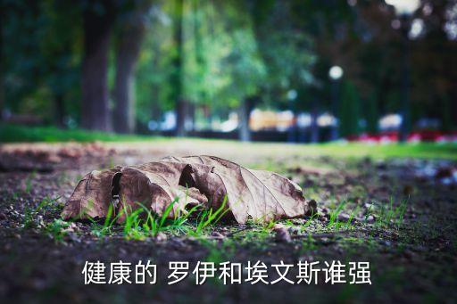 健康的 羅伊和埃文斯誰強