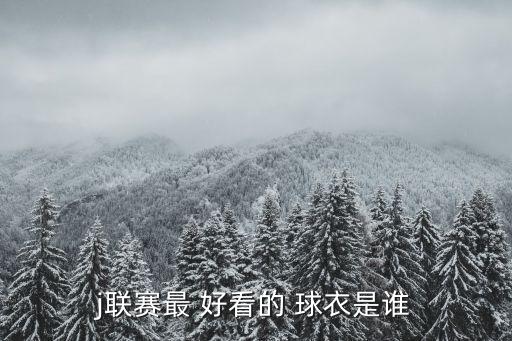 哪個(gè)俱樂(lè)部球衣最好看,每個(gè)人都有自己喜歡的球隊(duì)顏色和款式