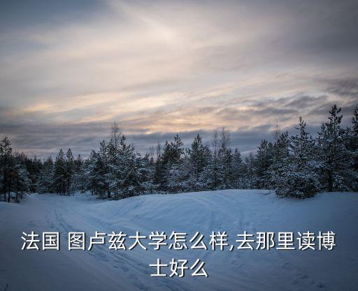 法國(guó) 圖盧茲大學(xué)怎么樣,去那里讀博士好么