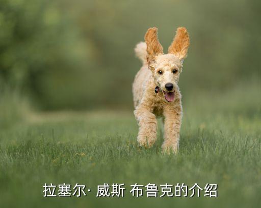 威斯布魯克在哪個(gè)隊(duì),nba球員拉塞爾·維斯特布魯克