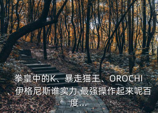 拳皇中的K、暴走貓王、OROCHI、伊格尼斯誰實(shí)力 最強(qiáng)操作起來呢百度...