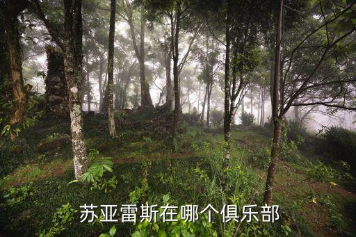  蘇亞雷斯在哪個(gè)俱樂部