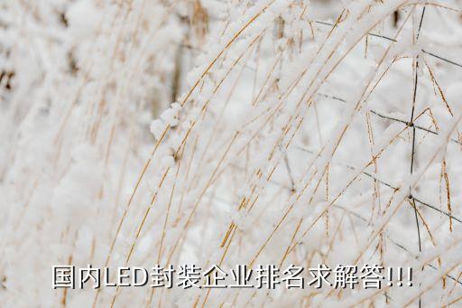 蘇州東吳 深圳雷曼 哪個(gè),深圳誠(chéng)品led全彩作品很牛逼