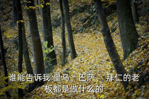 誰(shuí)能告訴我 皇馬、巴薩、 拜仁的老板都是做什么的