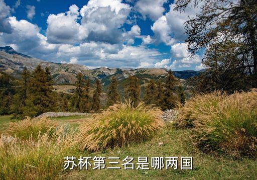 蘇杯第三名是哪兩國(guó)