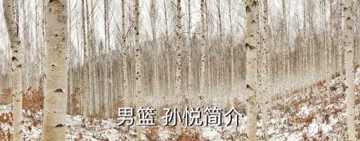 孫悅在哪個隊,孫悅11年進nba曾與尼克斯隊合作