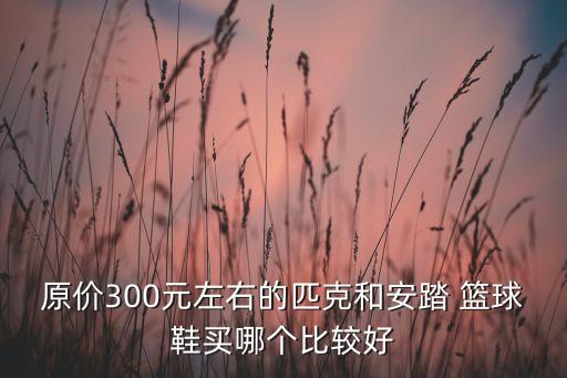 原價(jià)300元左右的匹克和安踏 籃球鞋買(mǎi)哪個(gè)比較好
