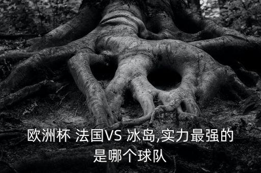 歐洲杯 法國VS 冰島,實力最強的是哪個球隊