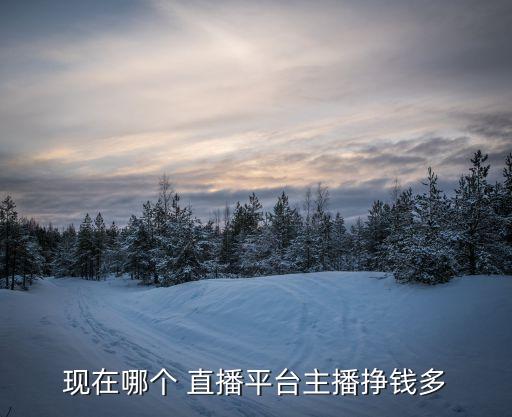 哪個(gè)手機(jī)直播有福利,哪個(gè)直播平臺(tái)賺錢多?看這里!