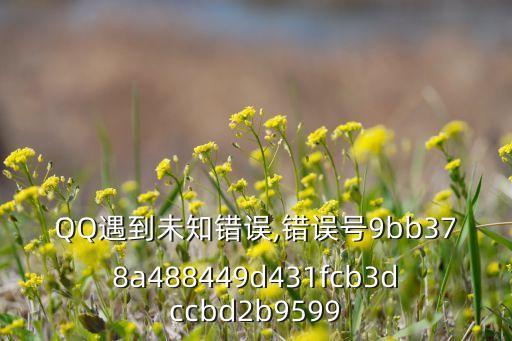 QQ遇到未知錯(cuò)誤,錯(cuò)誤號9bb378a488449d431fcb3dccbd2b9599