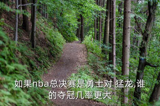 如果nba總決賽是勇士對(duì) 猛龍,誰的奪冠幾率更大
