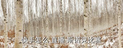 快手怎么 直播 斯諾克比賽