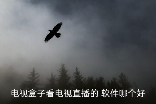 電視盒子看電視直播的 軟件哪個好