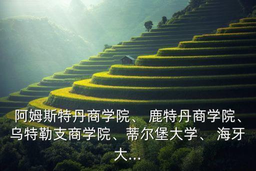 阿姆斯特丹商學(xué)院、 鹿特丹商學(xué)院、烏特勒支商學(xué)院、蒂爾堡大學(xué)、 海牙大...
