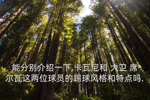大衛(wèi)席爾瓦打哪個(gè)位置,拜仁慕尼黑請選擇席爾瓦大衛(wèi)賽爾瓦出生