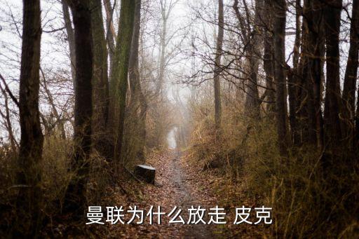 曼聯(lián)為什么放走 皮克