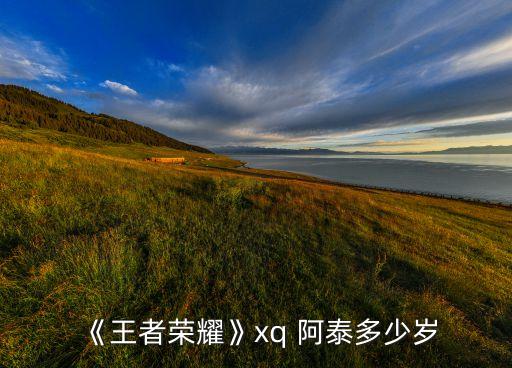 阿泰現(xiàn)在在哪個隊,我國籃球小將阿泰打遍全球都能打