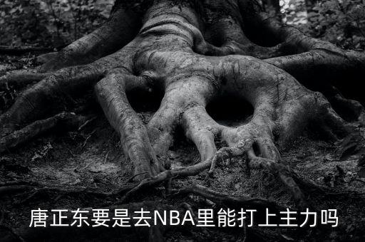  唐正東要是去NBA里能打上主力嗎