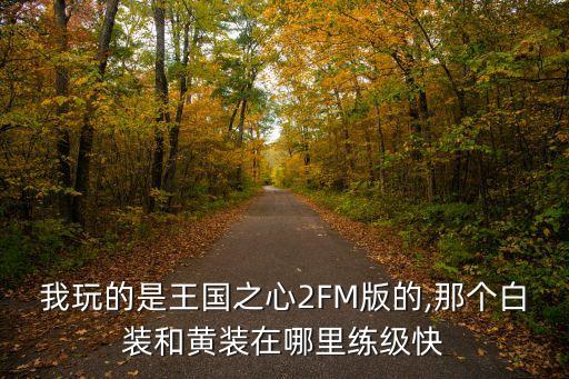 我玩的是王國之心2FM版的,那個(gè)白裝和黃裝在哪里練級(jí)快