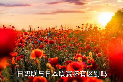 日職連哪個球隊(duì)最厲害,德國四支隊(duì)伍球隊(duì)參加日本聯(lián)賽杯淘汰賽