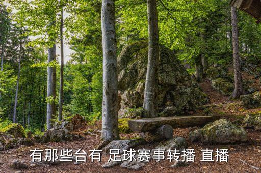 哪個(gè)臺(tái)足球直播,國足今晚做客加沙直播歐冠