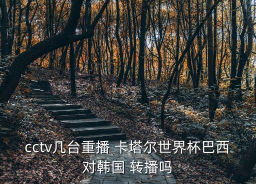 cctv幾臺(tái)重播 卡塔爾世界杯巴西對(duì)韓國(guó) 轉(zhuǎn)播嗎