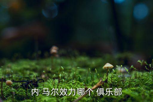 內(nèi) 馬爾效力哪個(gè) 俱樂部