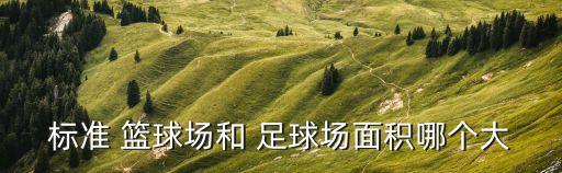 籃球足球哪個(gè)大,足球?yàn)楹未笥诨@球