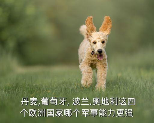  丹麥,葡萄牙, 波蘭,奧地利這四個歐洲國家哪個軍事能力更強