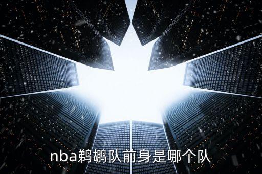 夏洛特有哪個球隊,籃球夢開始