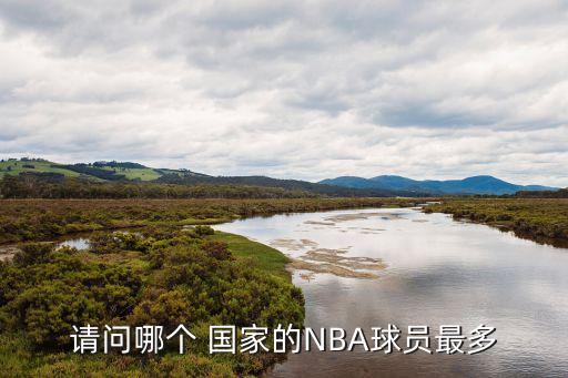 請(qǐng)問(wèn)哪個(gè) 國(guó)家的NBA球員最多