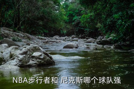 NBA步行者和 尼克斯哪個(gè)球隊(duì)強(qiáng)