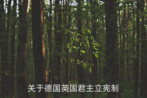 布朗開(kāi)帝哪個(gè)國(guó)家,馬克思:德國(guó)皇帝主導(dǎo)的國(guó)王在議會(huì)格局成形