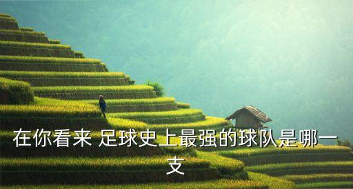 在你看來 足球史上最強(qiáng)的球隊(duì)是哪一支