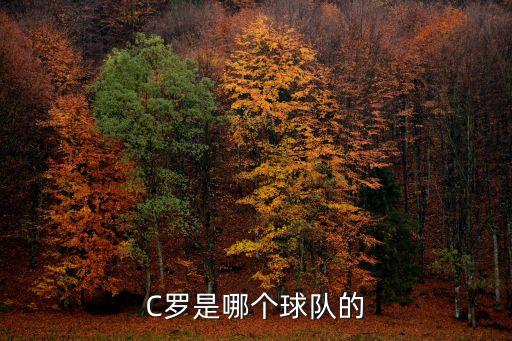 C羅是哪個球隊的