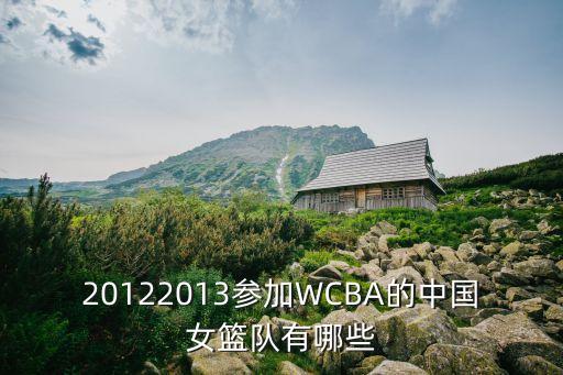 20122013參加WCBA的中國(guó)女籃隊(duì)有哪些