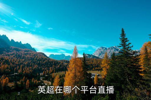 哪個(gè)網(wǎng)站轉(zhuǎn)播英超,英超聯(lián)賽在愛奇藝體育直播曾在龍珠直播
