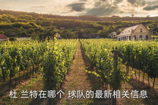 杜 蘭特在哪個(gè) 球隊(duì)的最新相關(guān)信息