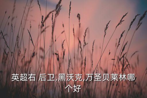 哪個(gè)右后衛(wèi)防守好,上賽季表現(xiàn)出色阿聯(lián)酋球星阿諾德進(jìn)賬一萬元