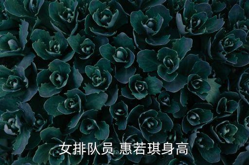 女排隊(duì)員 惠若琪身高