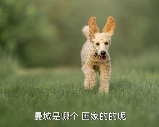 曼城是哪個國家的球聯(lián),曼城，外號藍月亮曼聯(lián)是英格蘭的驕傲