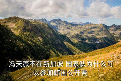  馮天薇不在新加坡 國家隊為什么可以參加韓國公開賽