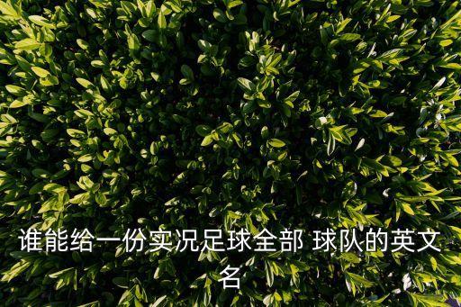 誰能給一份實(shí)況足球全部 球隊(duì)的英文名