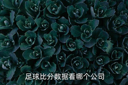 哪個(gè)足球網(wǎng)站數(shù)據(jù)庫(kù),足球比分?jǐn)?shù)據(jù)統(tǒng)計(jì)方法1個(gè)字:數(shù)