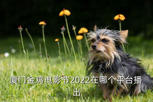 廈門金雞電影節(jié)2022在哪個(gè)平臺播出