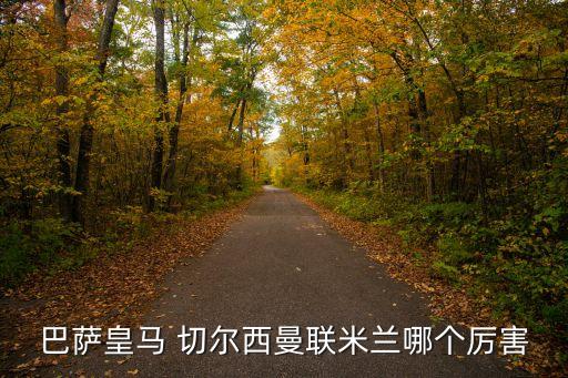巴薩皇馬 切爾西曼聯(lián)米蘭哪個厲害