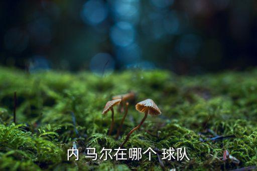 內馬爾在哪個國家在哪個球隊,最有可能接替貝利成為球王的人!